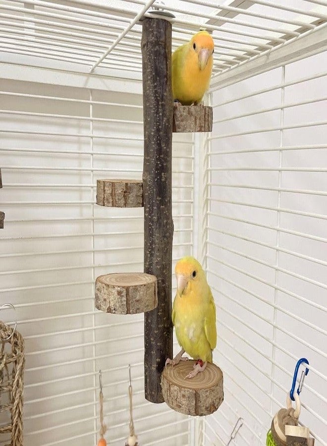 SS Organic® Natural Wood Bird Perch Stand, Hanging Multi Round Branch Perch for Cage, Parrots, Parakeets Cockatiels, Conures, Macaws, Love Birds, Finches Bird Toys - Image 2